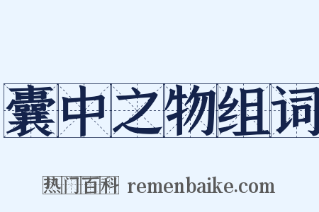 囊中之物组词是什么意思的图片